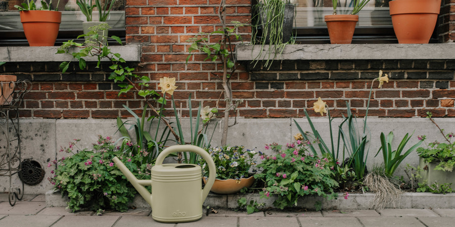 Plantvak voor een woning