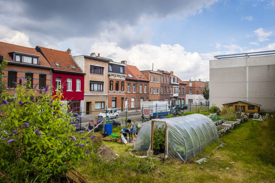 Op dit terrein van 500 vierkante meter is er altijd werk te doen en nieuwe tuiniers zijn steeds welkom. Op dit terrein van 500 vierkante meter is er altijd werk te doen en nieuwe tuiniers zijn steeds welkom.