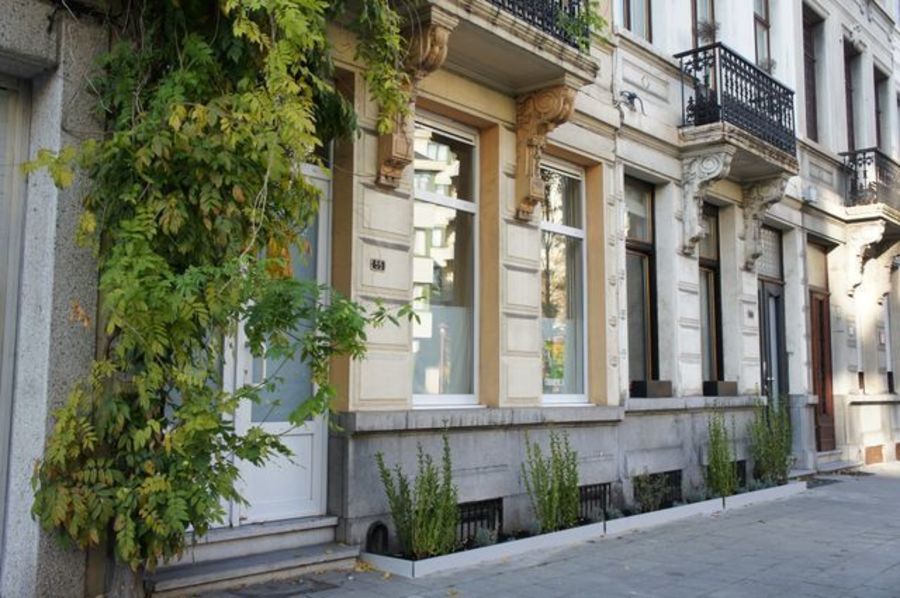 Een net aangeplant geveltuintje in de Van Stralenstraat Een net aangeplant geveltuintje in de Van Stralenstraat