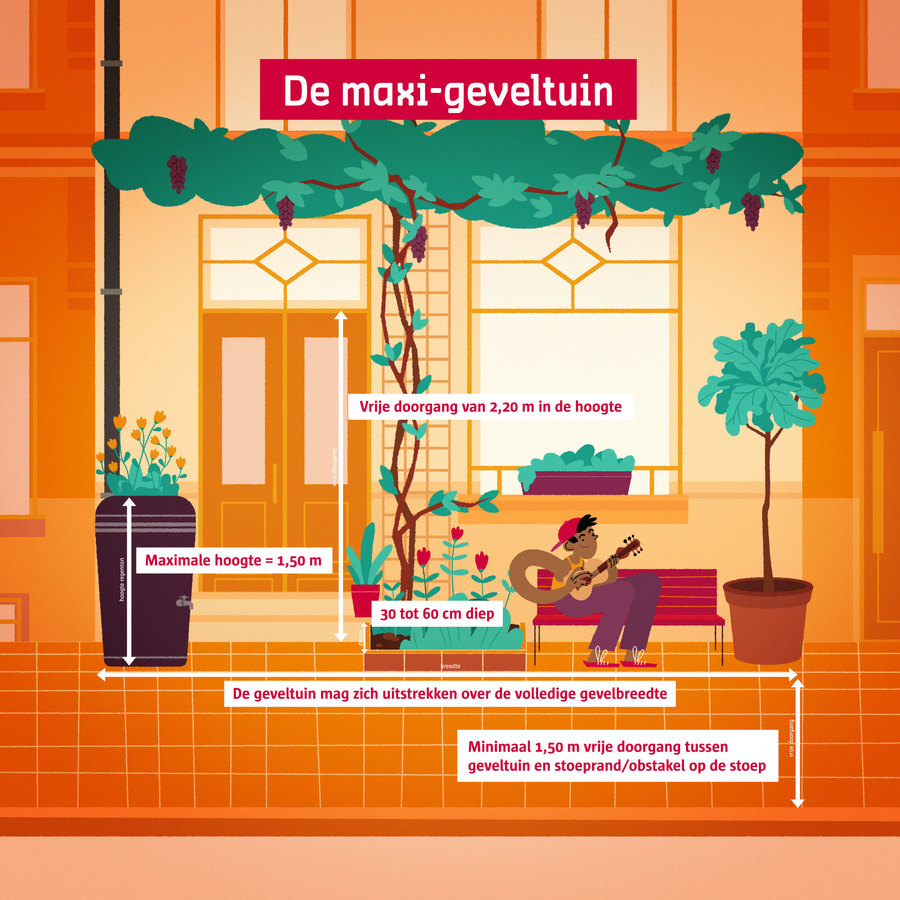 Visuele voorstelling van de regels voor een maxi-geveltuin Visuele voorstelling van de regels voor een maxi-geveltuin