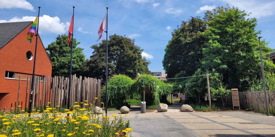 De Hogeweg in Berchem, gezien vanaf het plein voor het districtshuis.