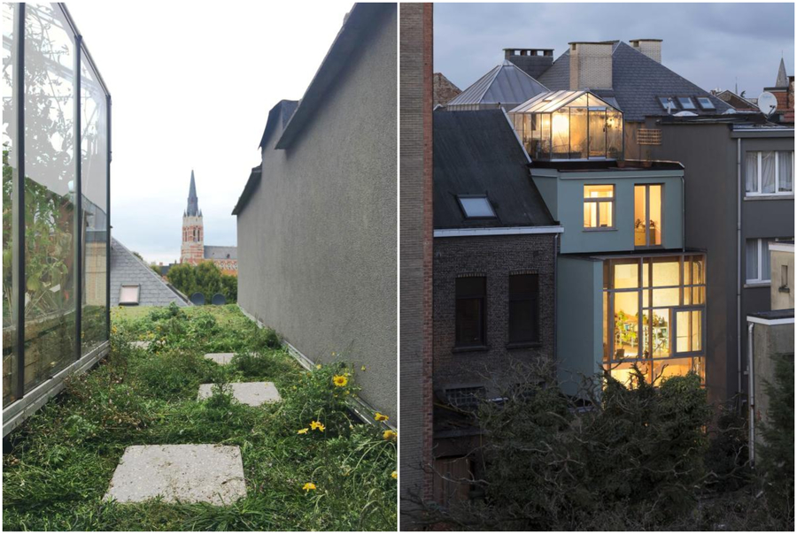 Collage met foto links: beeld van het groendak en foto rechts: beeld van de glazen achtergevel van het huis Collage met foto links: beeld van het groendak en foto rechts: beeld van de glazen achtergevel van het huis