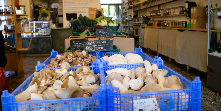 Groenten in RICO LAB