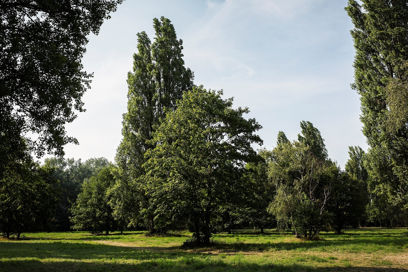 Esmoreitpark