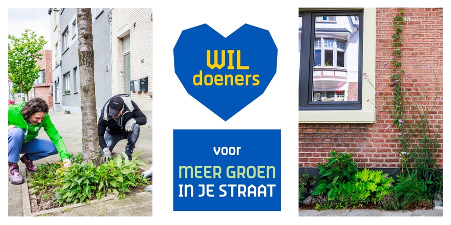 Montage met illustratieve foto's voor de groenondersteuning van WILdoeners: boomvakken en geveltuinen Montage met illustratieve foto's voor de groenondersteuning van WILdoeners: boomvakken en geveltuinen