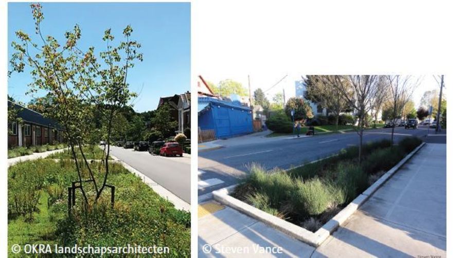 November 2022 - referentiebeeld groenzone regenwaterinfiltratie