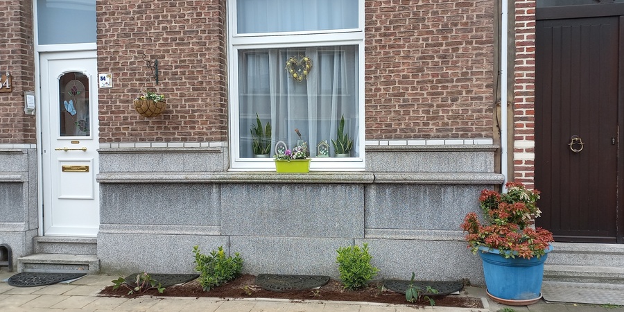 Geveltuin Geveltuin