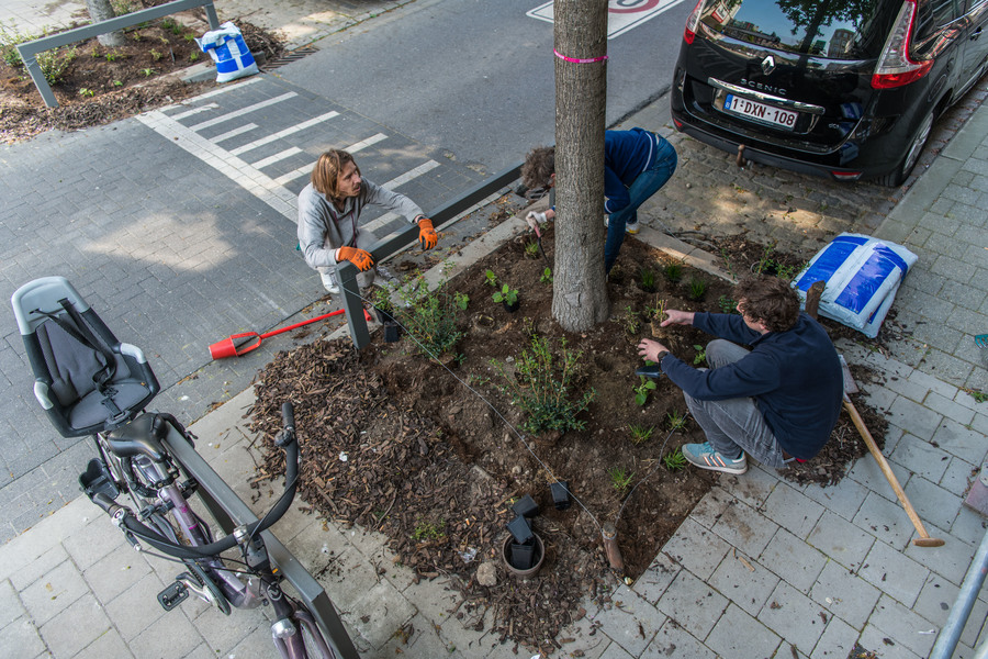 foto van een buurtbewoners aan de slag in hun straat tijdens een Groeidag in Borgerhout