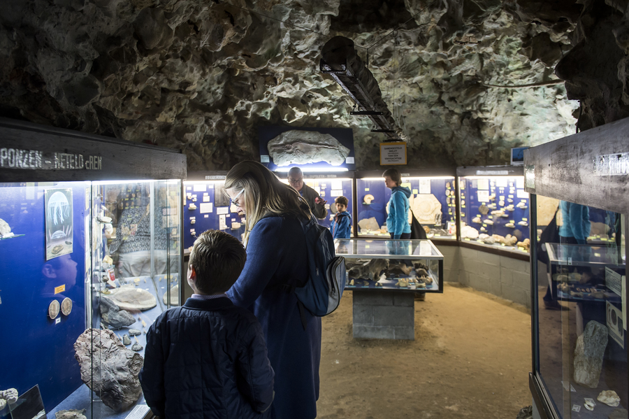 Natuurhistorisch Museum Boekenberg