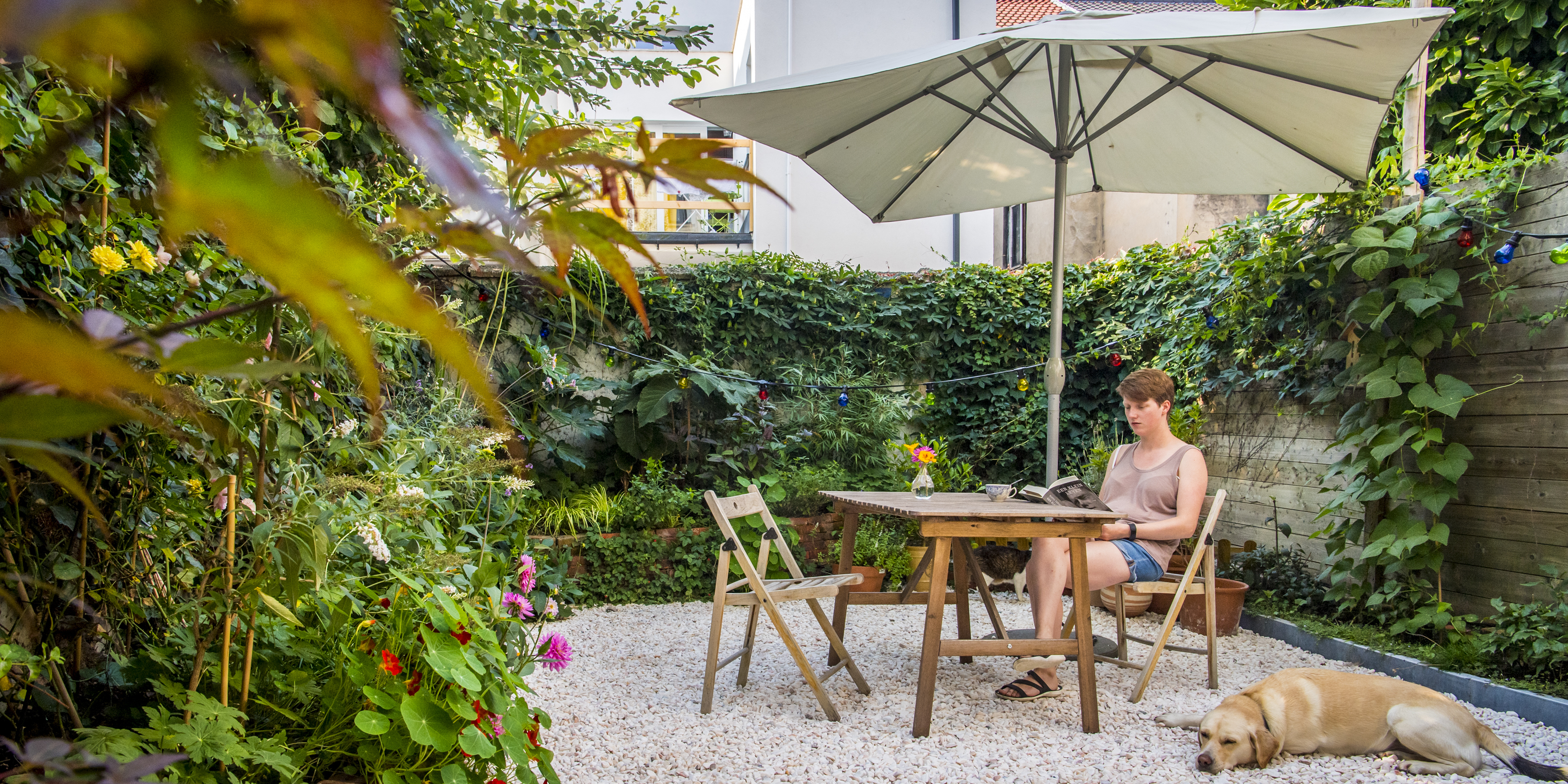 Deze tuin heeft geen gras, maar is toch groen Antwerpen.be