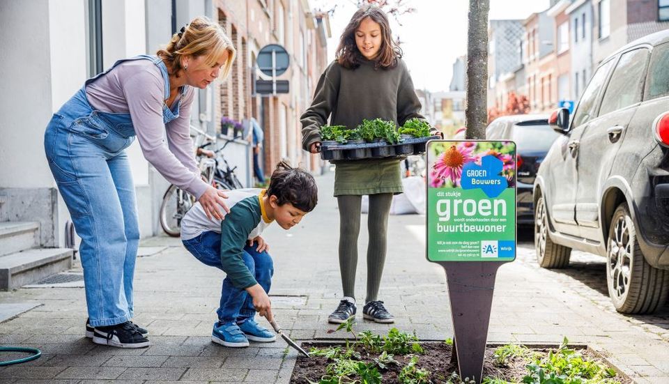 Groenbouwers aan de slag in de Sportstraat