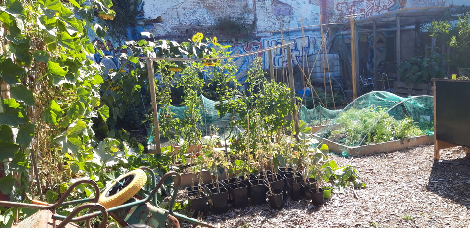 Tuin tussen muren