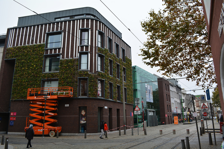 De gevel van de bibliotheek tijdens de plaatsing van de modulaire plantenbedden. De gevel van de bibliotheek tijdens de plaatsing van de modulaire plantenbedden.