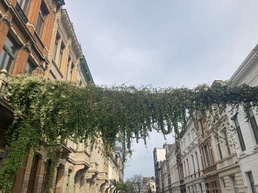 Groenslinger in straat