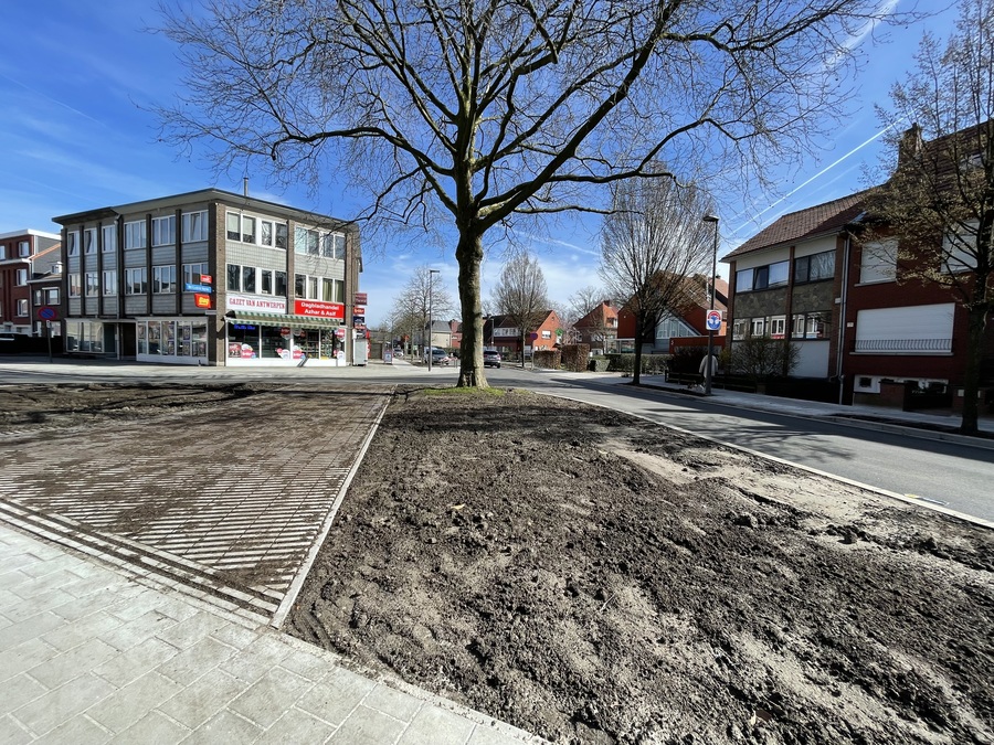 Zicht vanuit Geestenspoor op het kruispunt met de boom.