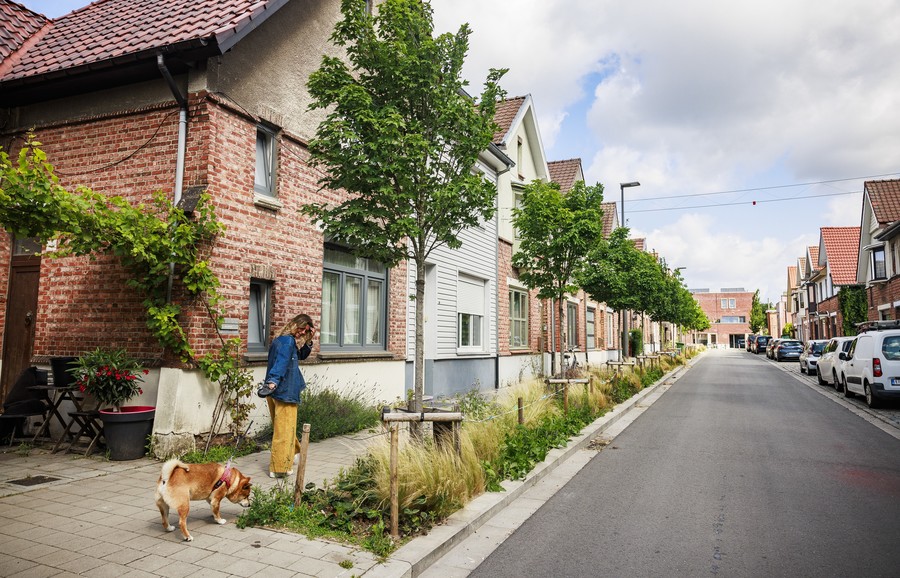 Vergroening in de Eenheidstraat