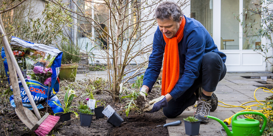 Man plant nieuwe planten in net uitgebroken koer Man plant nieuwe planten in net uitgebroken koer