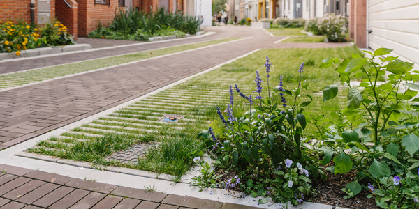 Themabeeld vergroening, Lange Riddersstraat 2021.