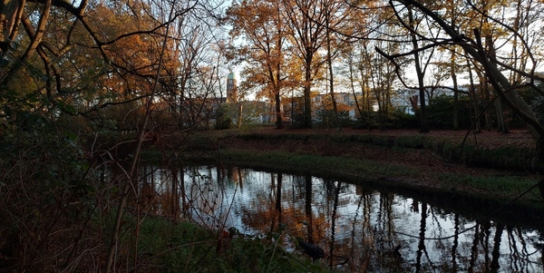Zicht op de vijver van het Valaarpark met op de achtergrond de Rozenkranskerk