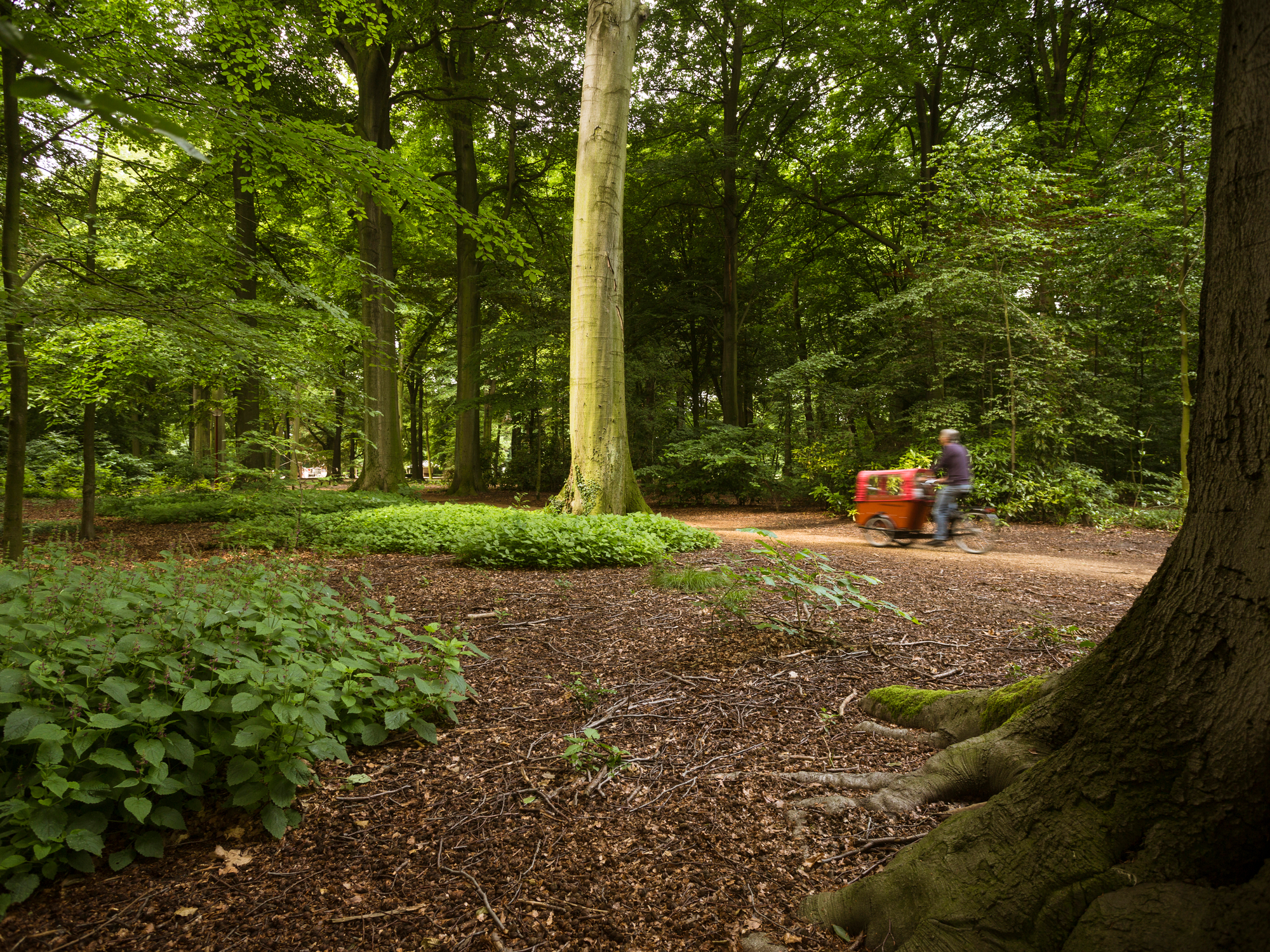 Foto van het Te Boelaarpark