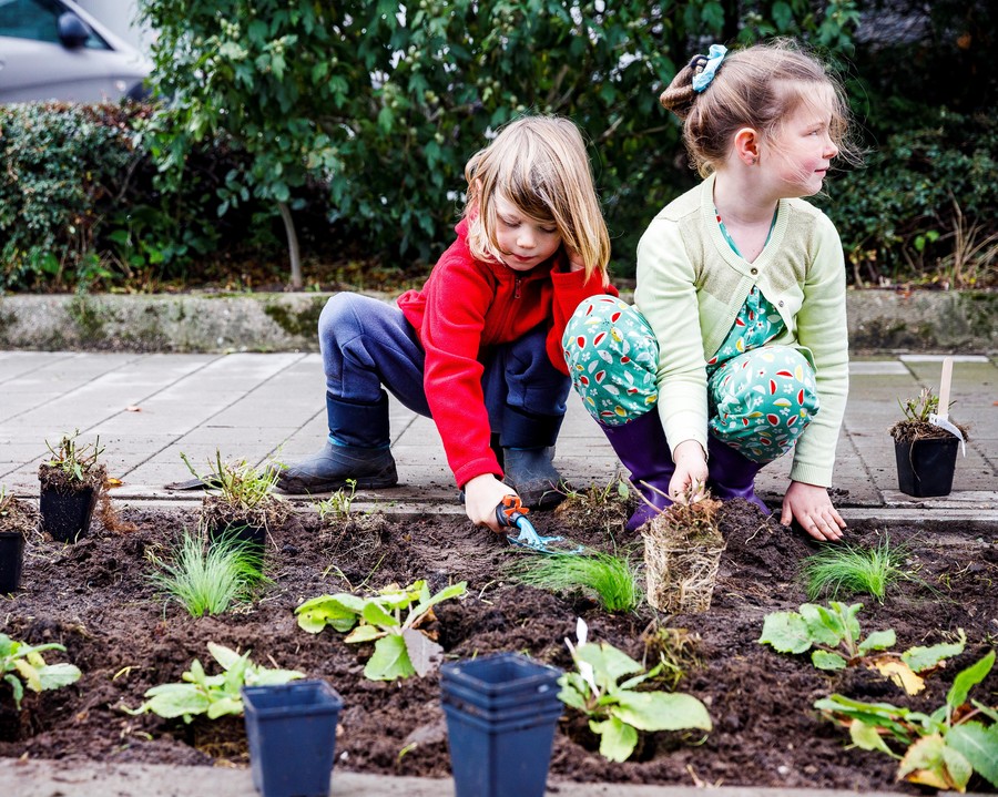Aanleg grasstrook Groenbouwers Aanleg grasstrook Groenbouwers