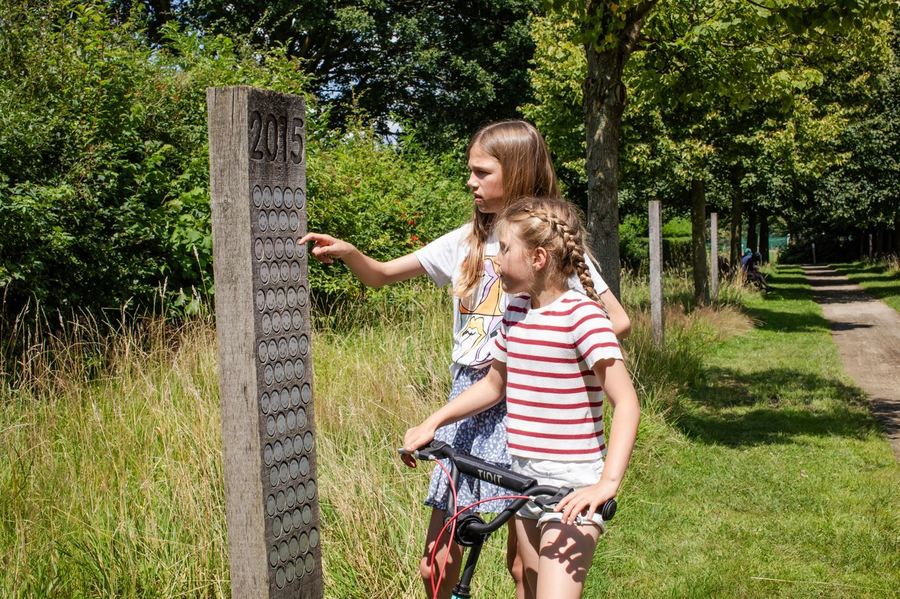 Geboortebos in Borsbeek
