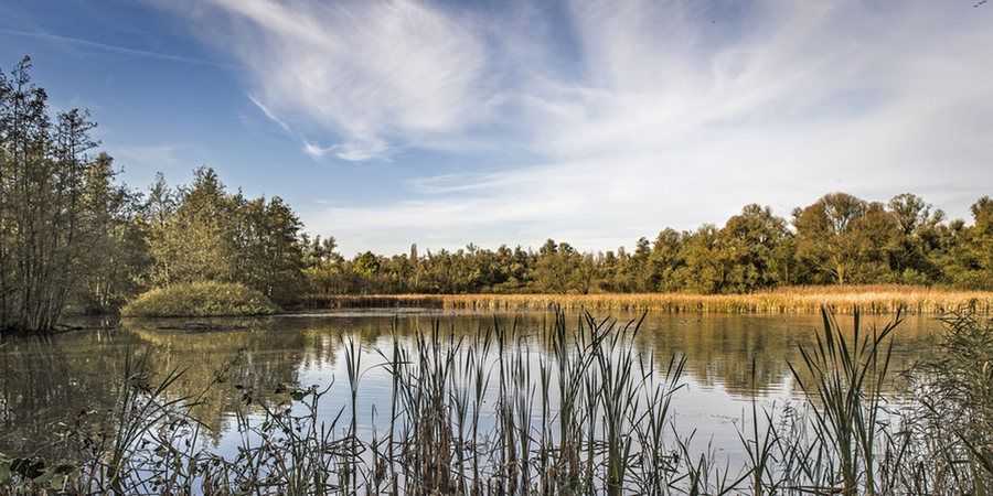 Hobokense Polder Hobokense Polder