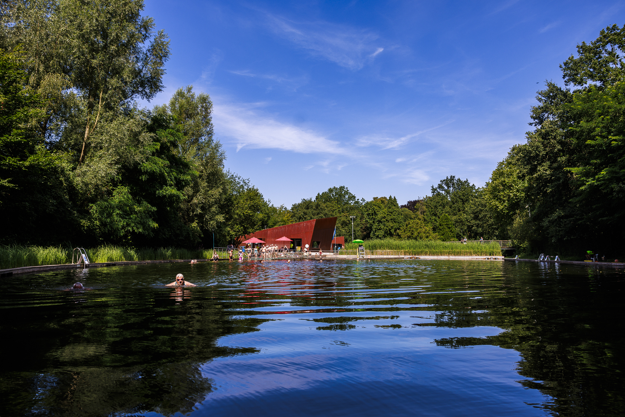 Beeld van de zwemvijver waar 1 man zwemt in de voorgrond