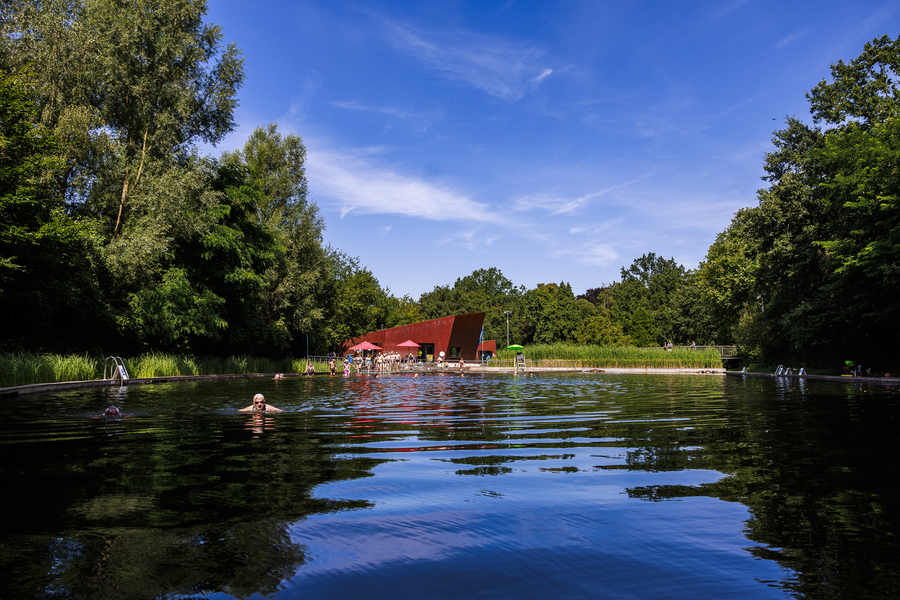 Beeld van de zwemvijver waar 1 man zwemt in de voorgrond