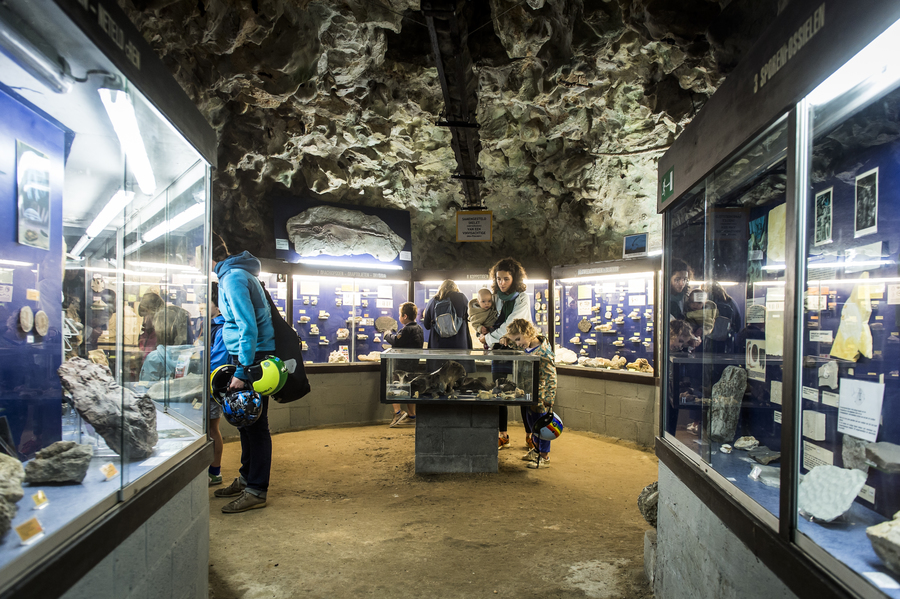 Natuurhistorisch Museum Boekenberg