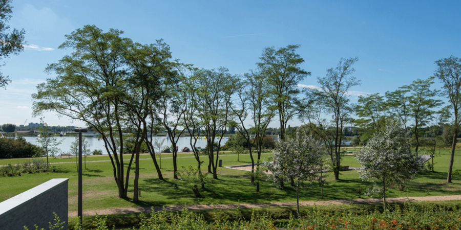 Galgenweelpark Galgenweelpark
