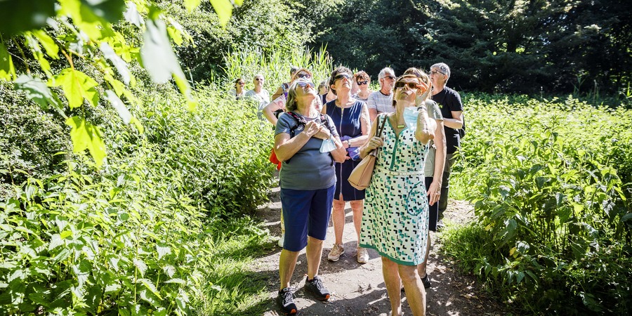Gratis natuurwandelingen senioren en 55 plussers in Borgerhout