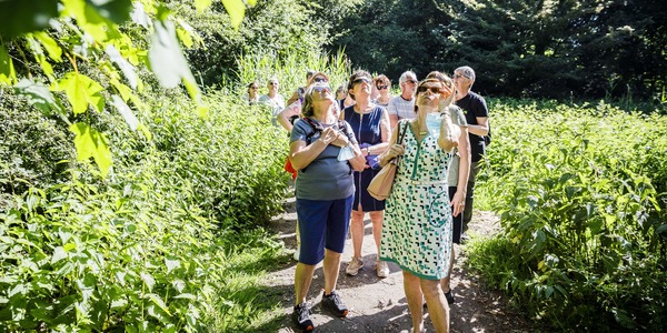 Gratis natuurwandelingen senioren en 55 plussers in Borgerhout