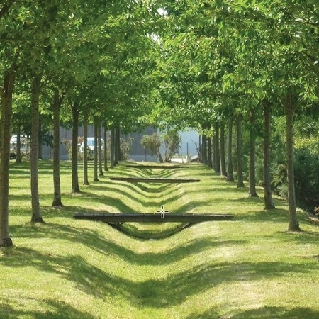 lineaire bioswale lineaire bioswale