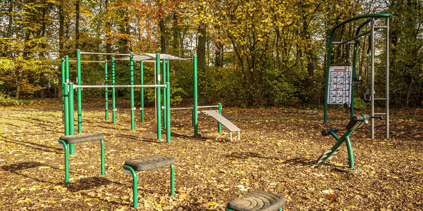 Foto calisthenics of urban fitness in het Te Boelaarpark in Borgerhout