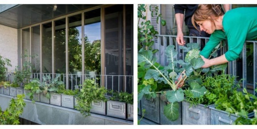 Blind vertrouwen Handig belediging Een tuingevoel zonder tuin? Dat doet je zo! | Antwerpen.be