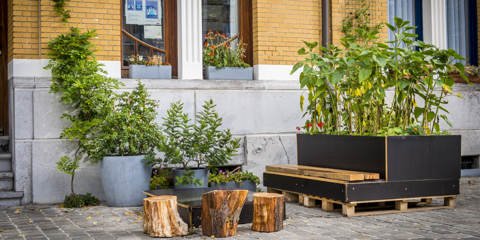 Tijdelijke Tuinstraten zorgen voor meer groen in Antwerpen ...