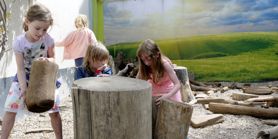Kinderen spelen met boomstammen en takken Kinderen spelen met boomstammen en takken
