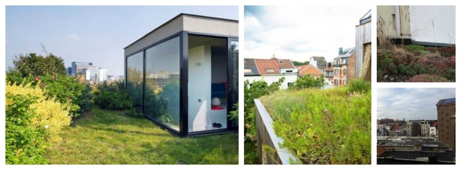 Hoe meer planten op je dak met grote bladeren en volume, hoe meer je dak helpt met het zuiveren van luchtvervuiling van het verkeer. Van links naar rechts: een intensief groendak, een biodiversiteitsdak met grassen en kruiden, een sedumdak en een zwart dak. Hoe meer planten op je dak met grote bladeren en volume, hoe meer je dak helpt met het zuiveren van luchtvervuiling van het verkeer. Van links naar rechts: een intensief groendak, een biodiversiteitsdak met grassen en kruiden, een sedumdak en een zwart dak.