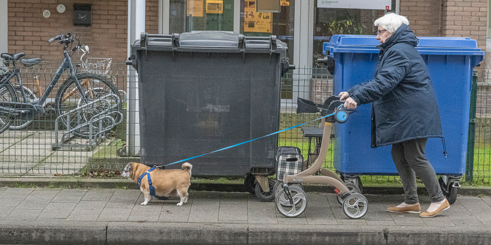 Vrouw met rollator en hond Vrouw met rollator en hond