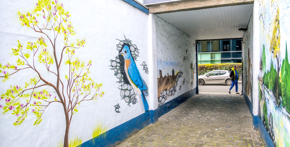Steegje dat opgefleurd wordt door verschillende muurschilderingen