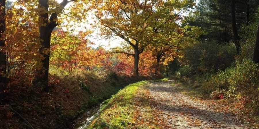 Wandelpad Eekhoorn