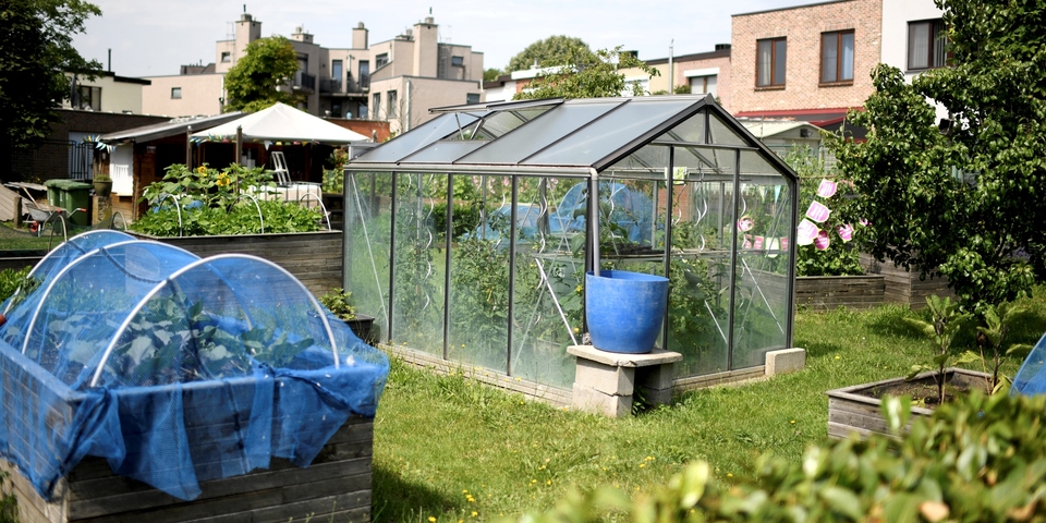Tuin met serre met groenten en bloembakken
