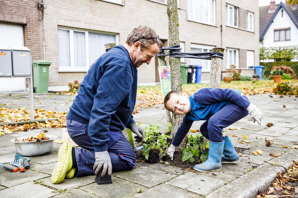 Bewoners planten een boomvak aan met gratis planten van Groenbouwers.