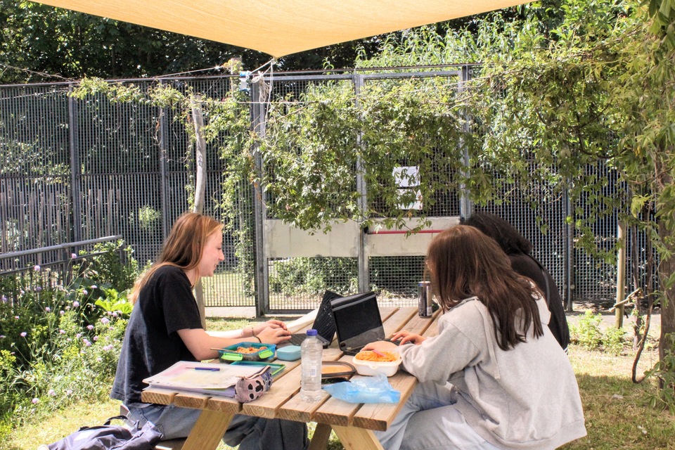 Studeren in de tuin van bib De Poort