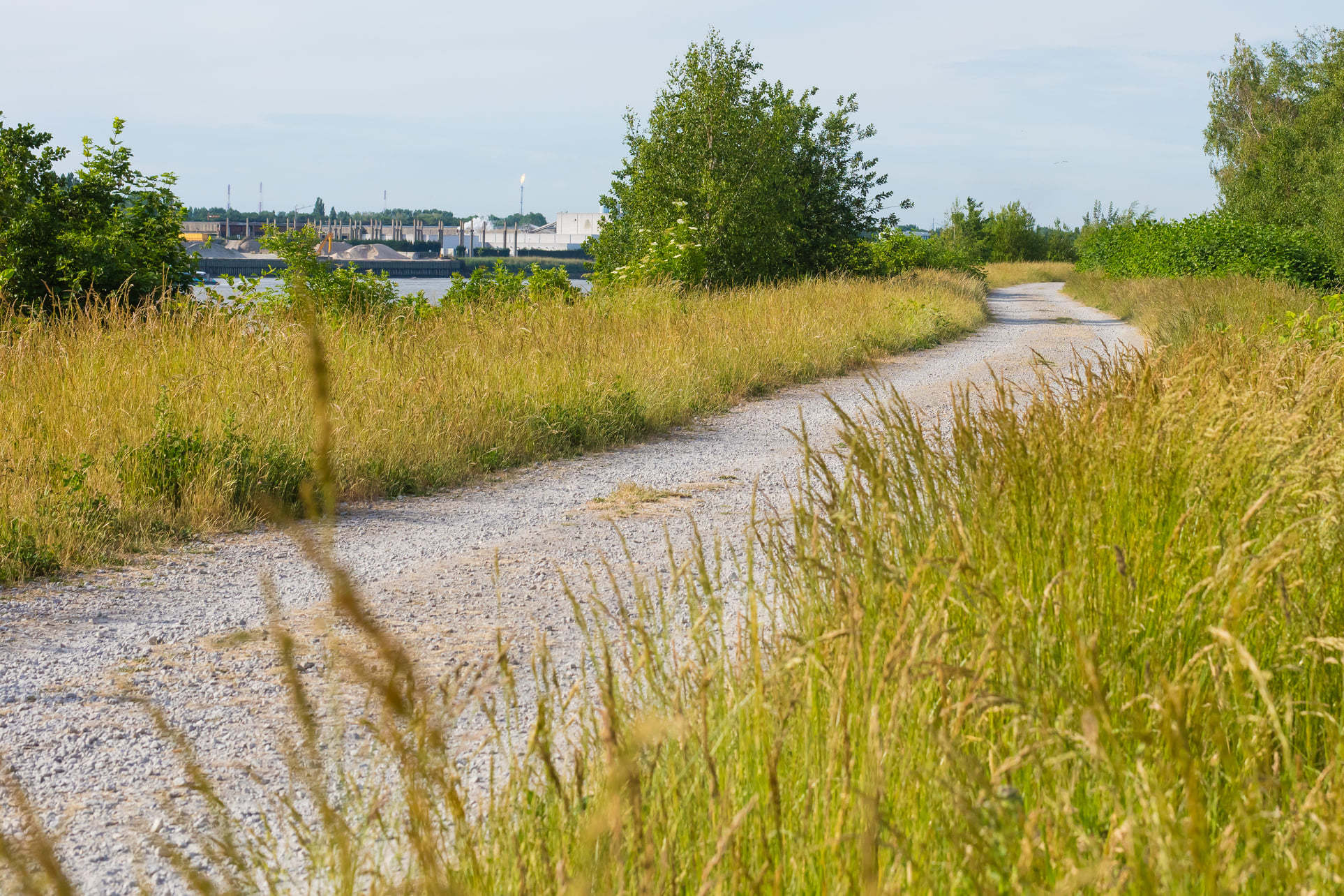 Wandelweg naast de Schelde Wandelweg naast de Schelde