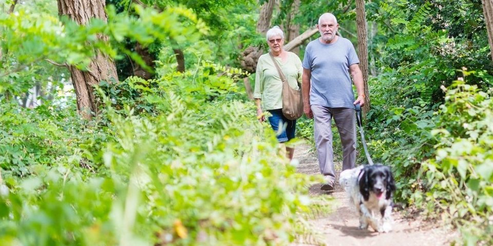 Twee wandelaars en een hond in de Tarzanboskes
