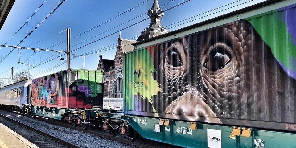 Werk van Antwerpse graffiti artiest Smok op Noah's Train