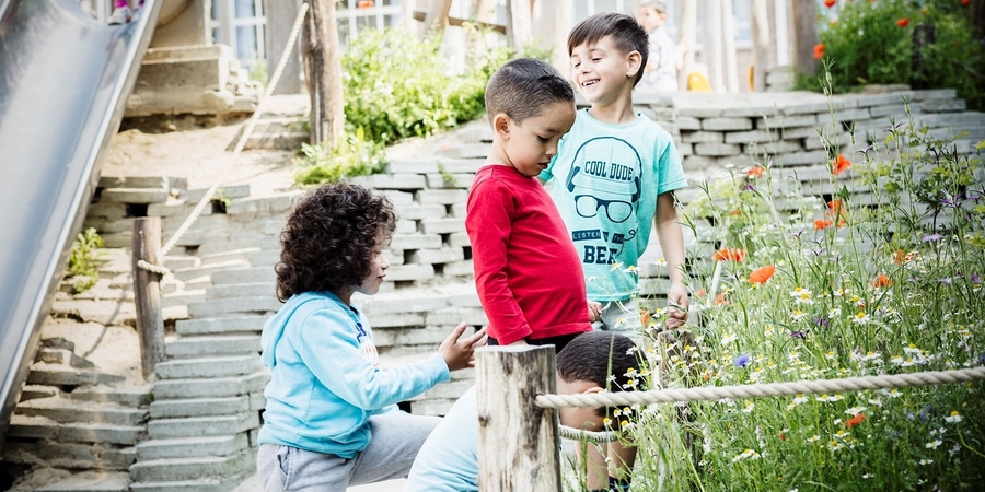 Kinderen kijken naar de wilde bloemen op hun speelplaats Kinderen kijken naar de wilde bloemen op hun speelplaats