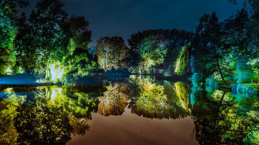Verlichte bomen aan de rand van het water Verlichte bomen aan de rand van het water